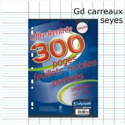 300P CALLIGRAPHE A4 copies simples